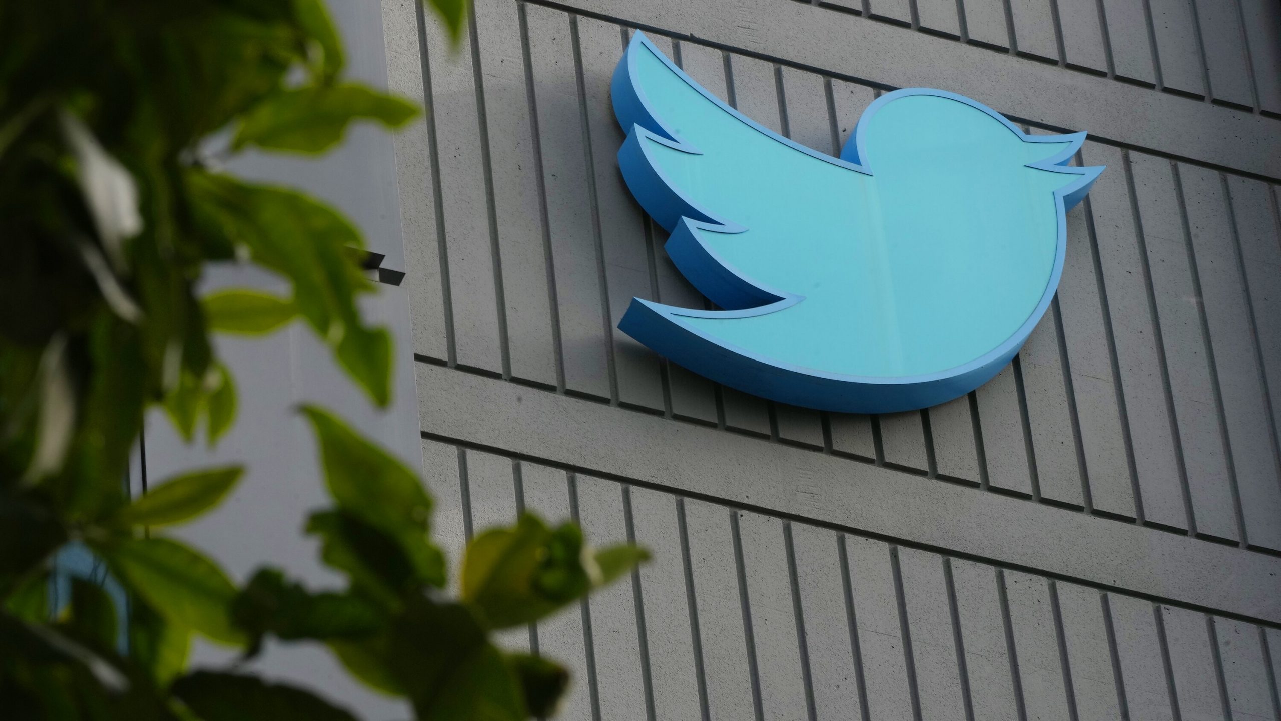 Twitter Inicio laquerelladigital, twitter, redes sociales, jackeo,